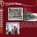 Design web pentru www.wisky.ro