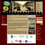 Design web pentru www.madisz.ro