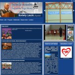Design web pentru www.borbelylaszlo.ro